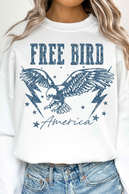 Free Bird American Eagle Oversized Sweatshirt