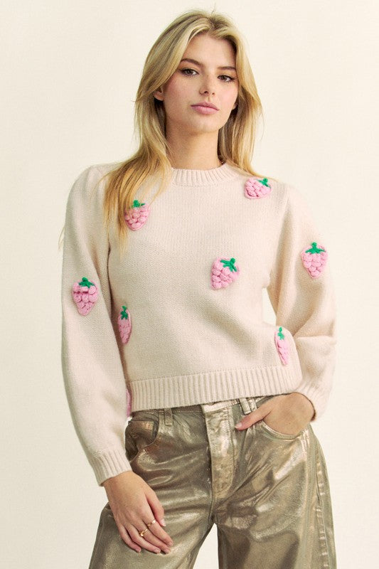 Davi & Dani Crochet Strawberry Round Neck Sweater