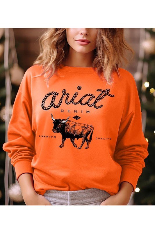 Ariat Fleece Sweatshirt - Emmie Gray Boutique